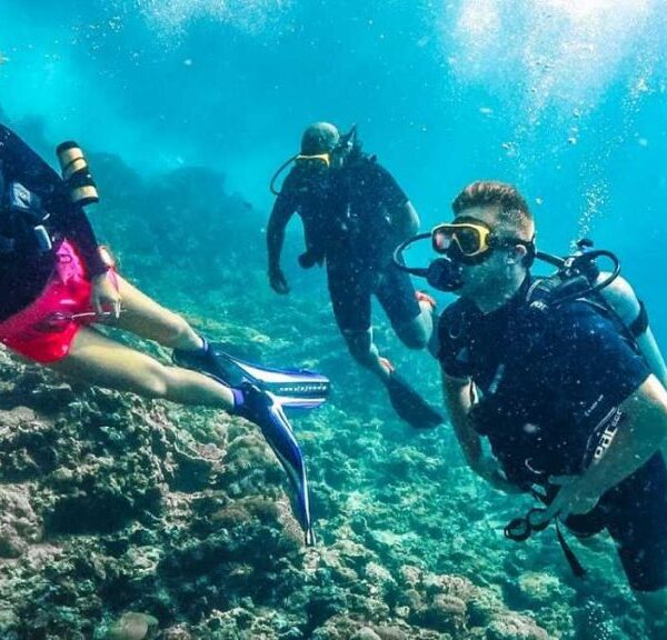 Scuba Diving